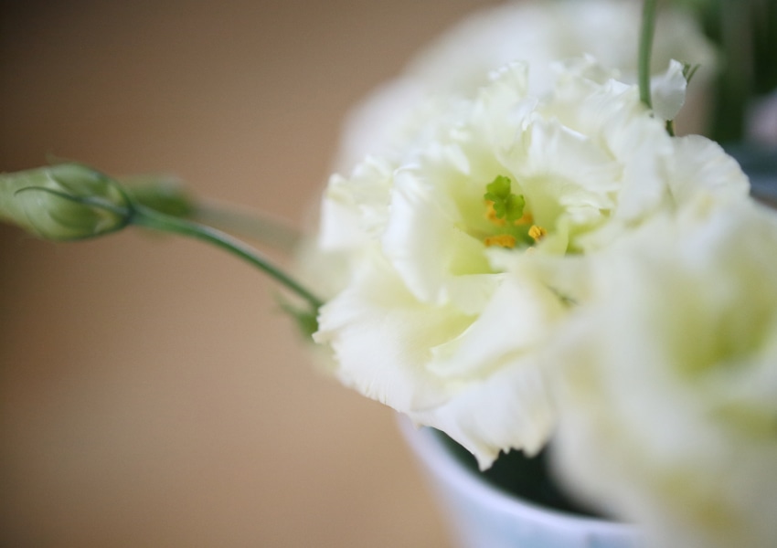 静寂の中で、心を癒し、安らぎを感じる空間へ