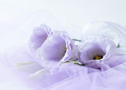 心に寄り添ったサービス